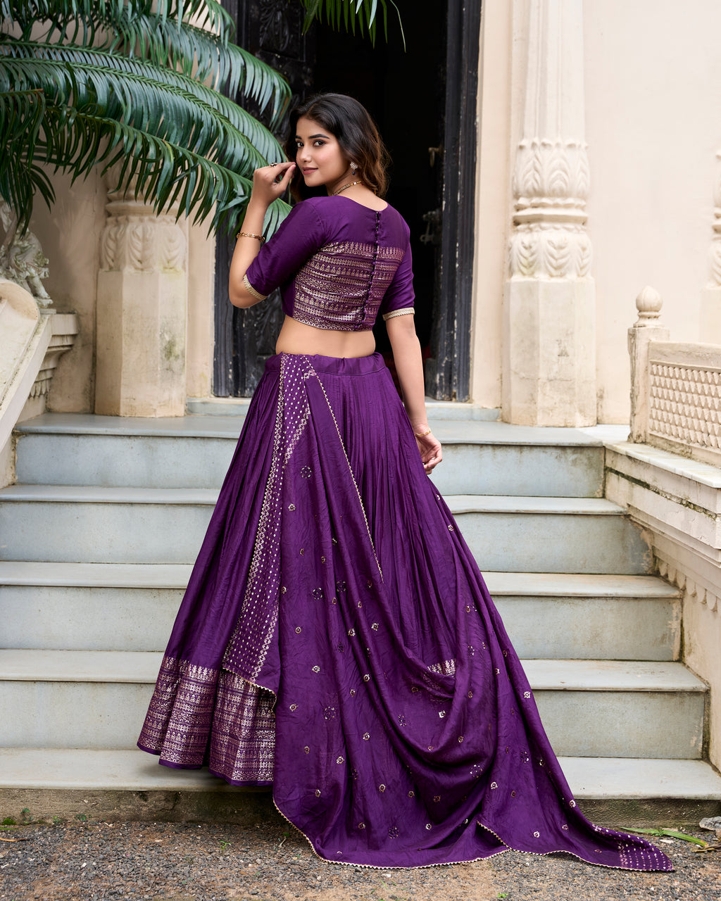 Regal Choli with Woven Zari Border