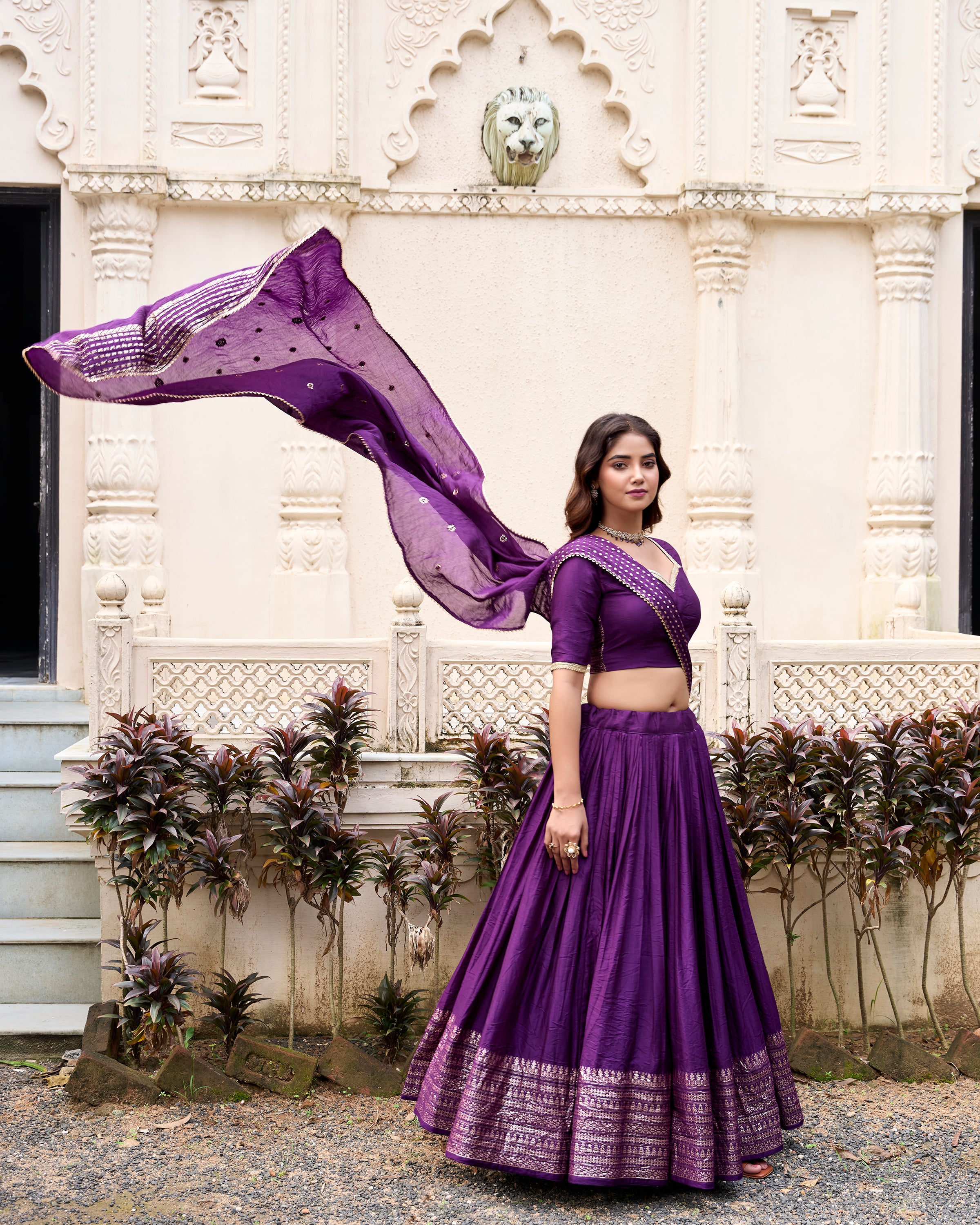 Regal Choli with Woven Zari Border