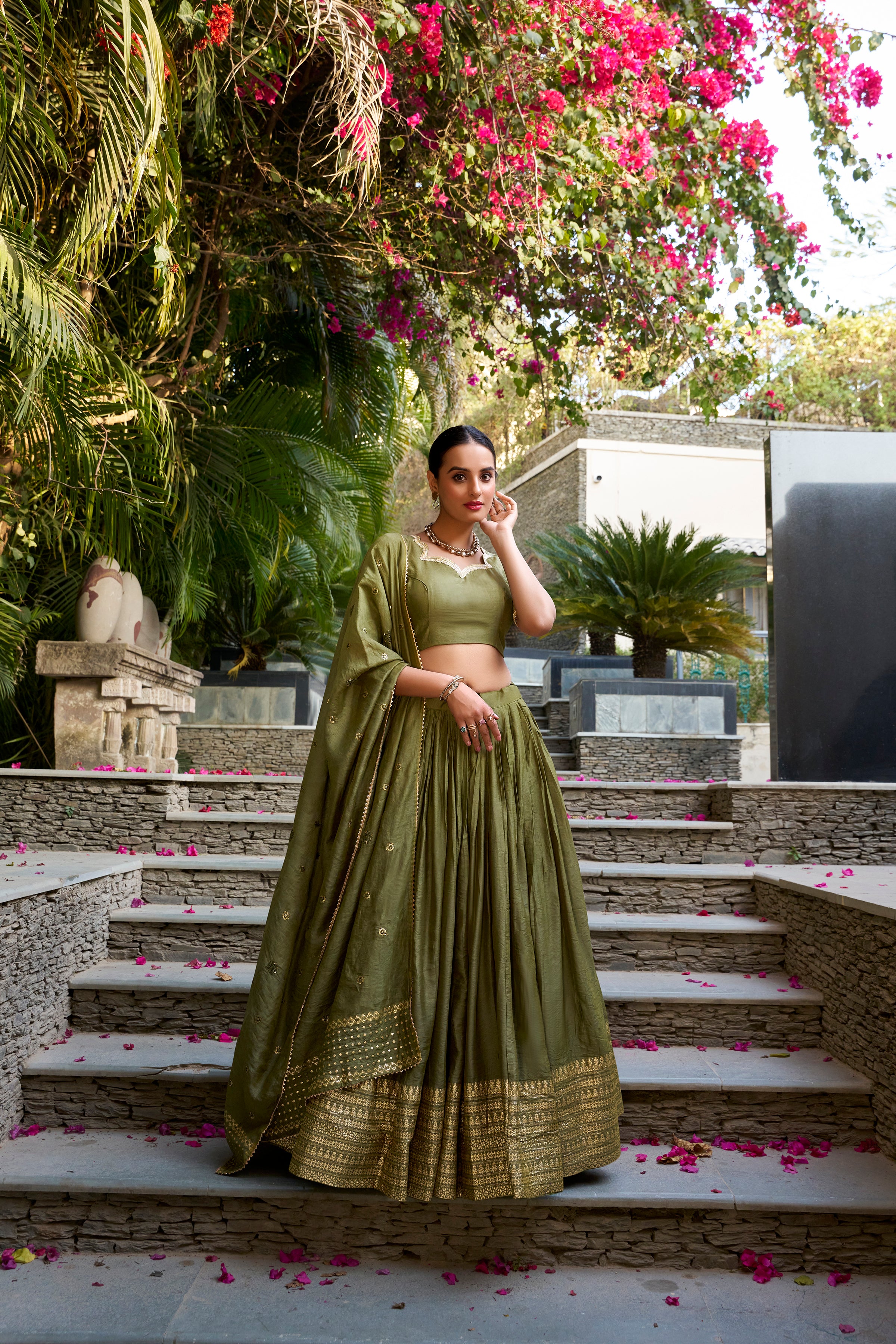 Regal Choli with Woven Zari Border