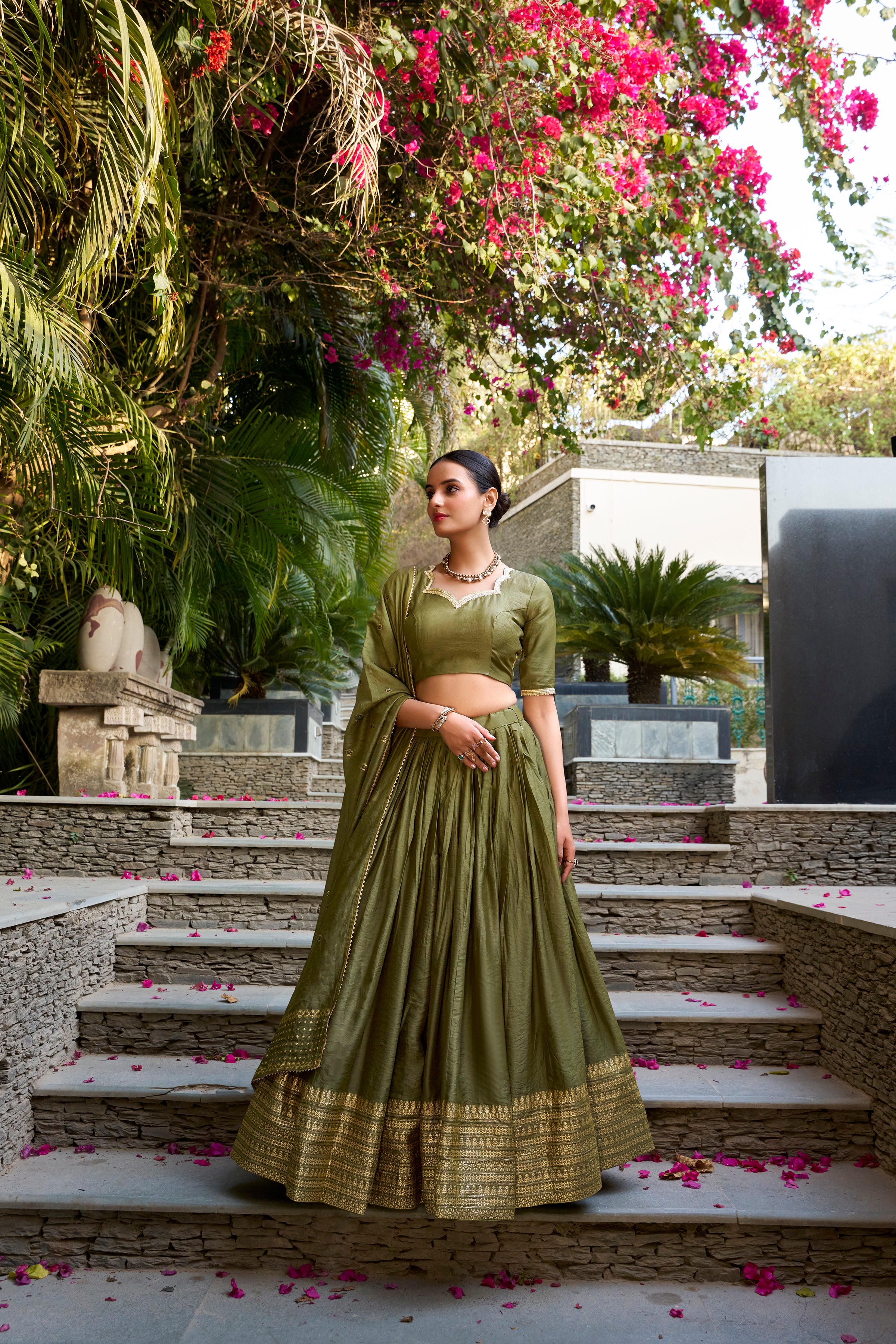 Regal Choli with Woven Zari Border
