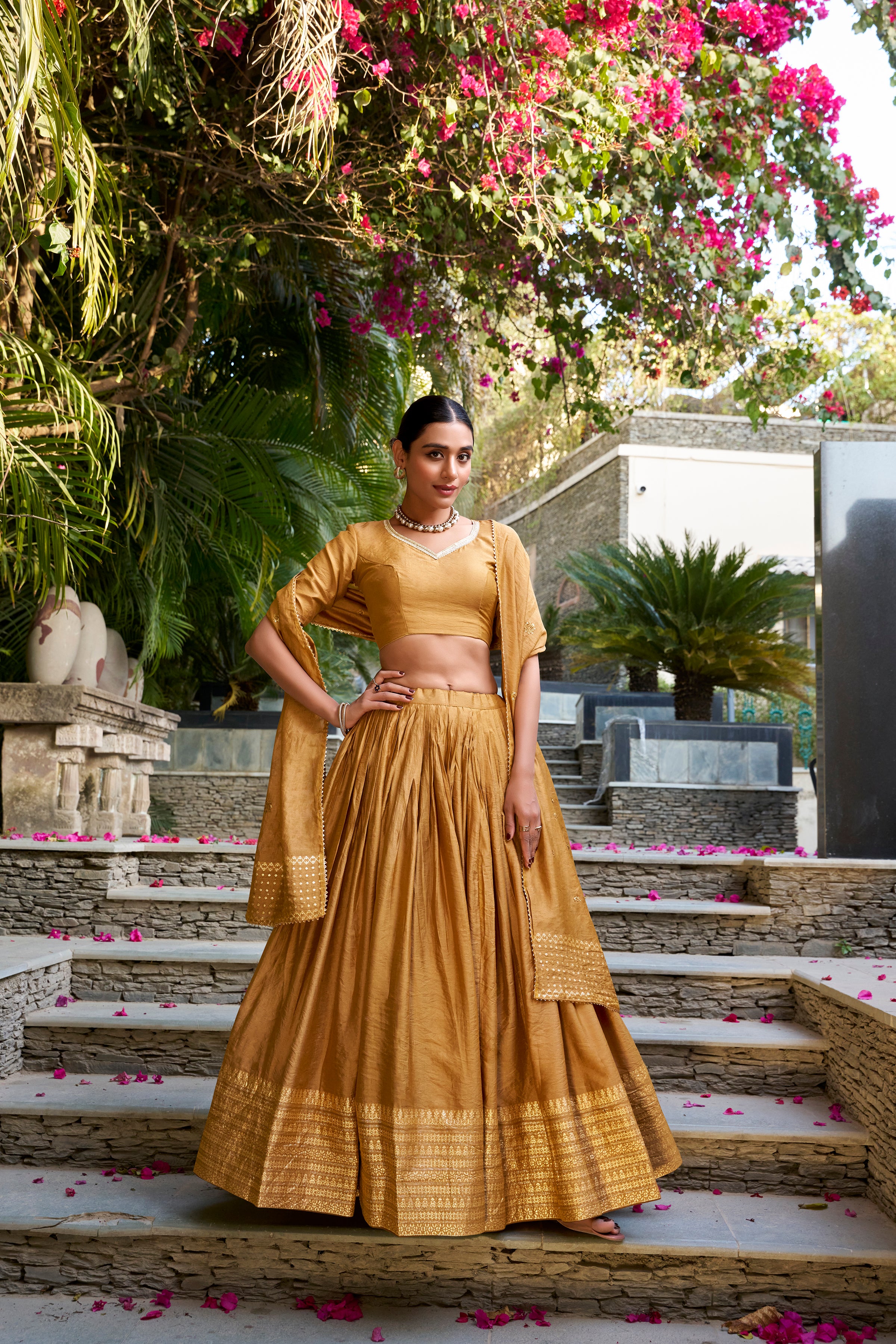 Regal Choli with Woven Zari Border