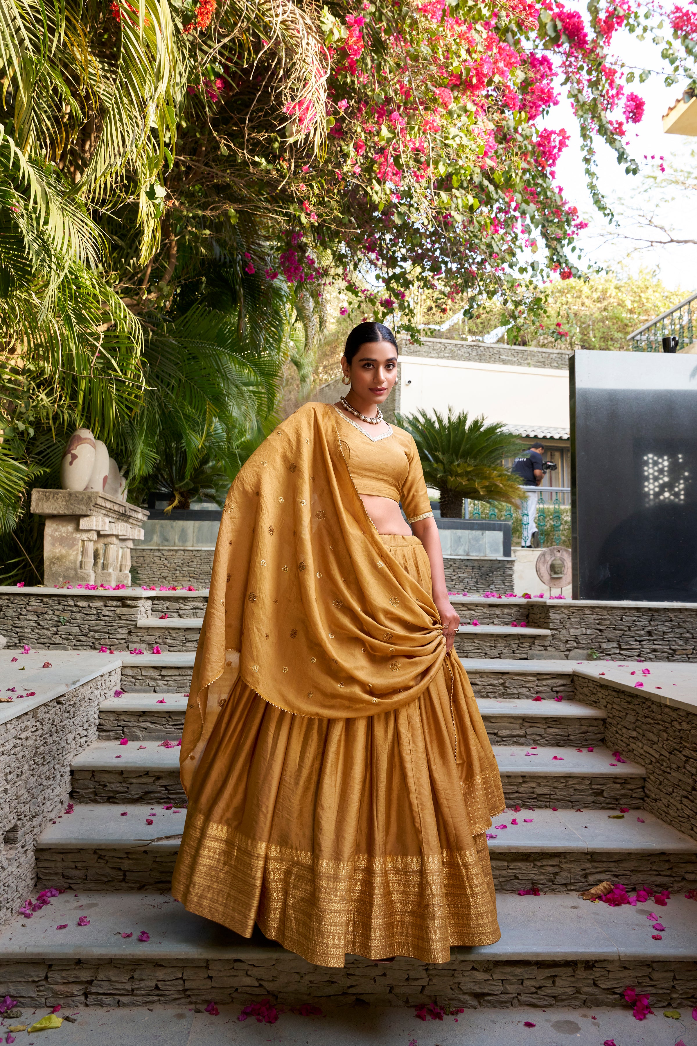 Regal Choli with Woven Zari Border