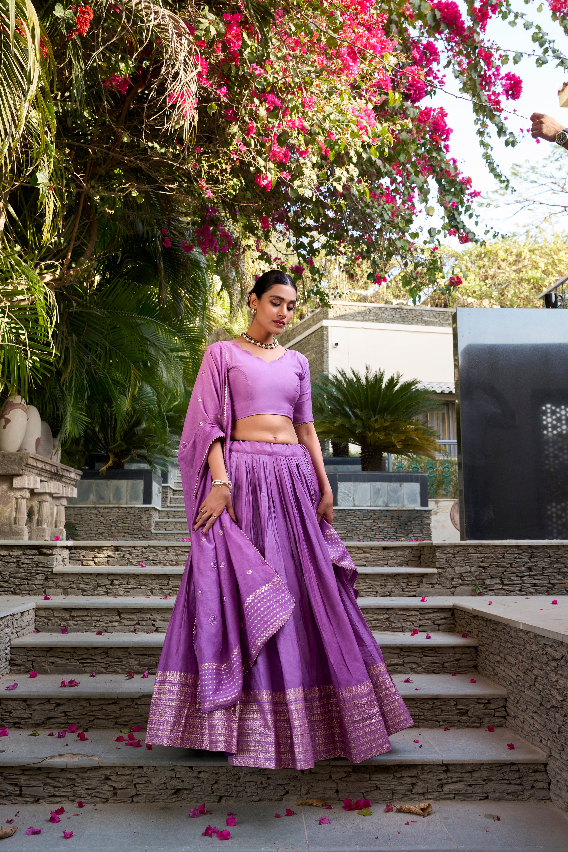 Regal Choli with Woven Zari Border
