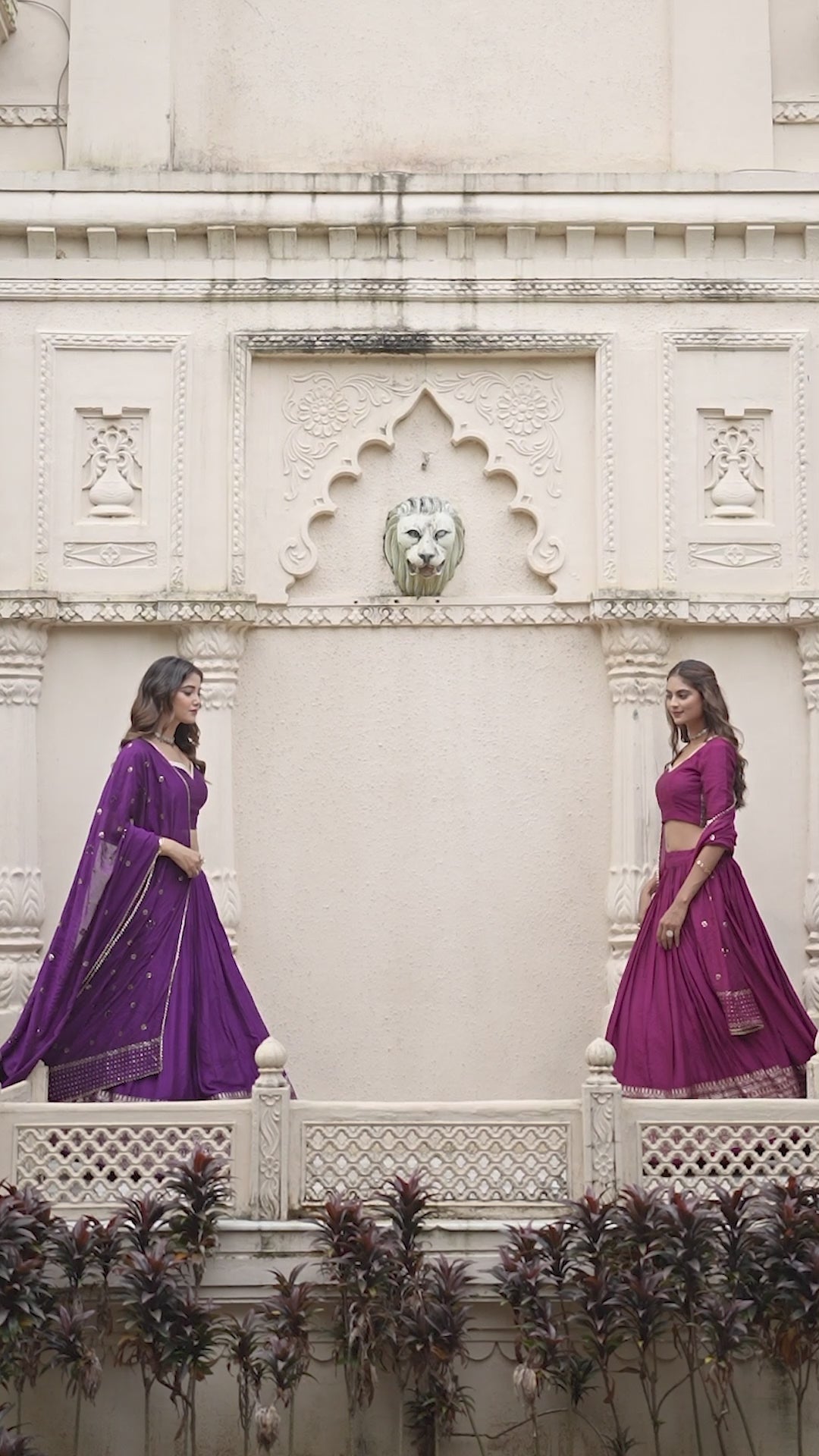 Regal Choli with Woven Zari Border